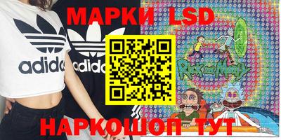 тгк Дубна