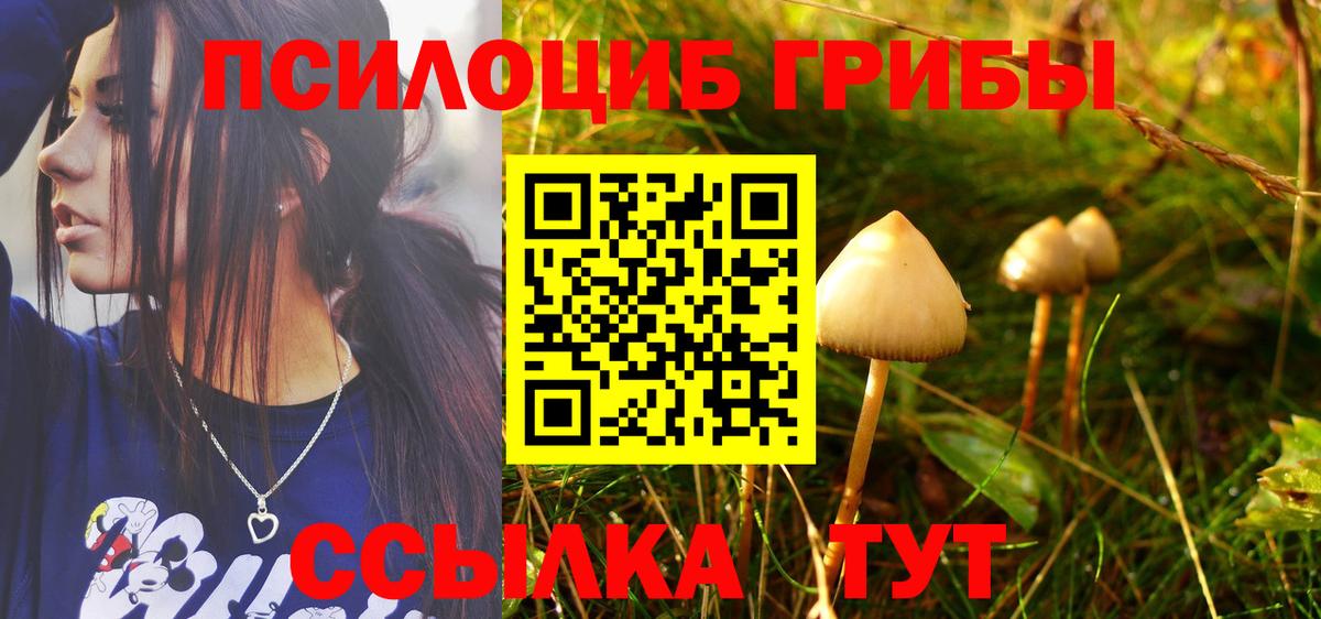 Псилоцибиновые грибы Psilocybe  Псилоцибиновые грибы MAGIC MUSHROOMS  Новоалтайск  Вход с VPN 